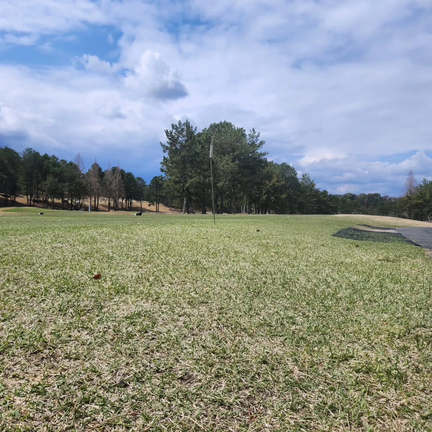 新入社員歓迎ゴルフに行ってきました✨