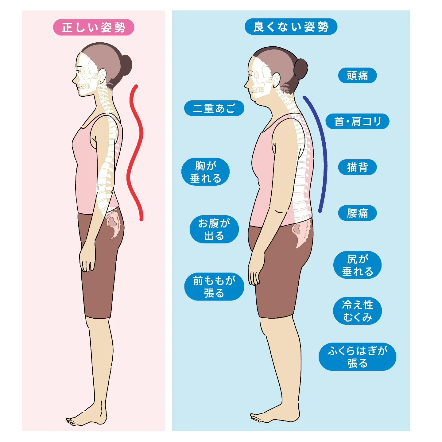 自分の姿勢見直して見ませんか？