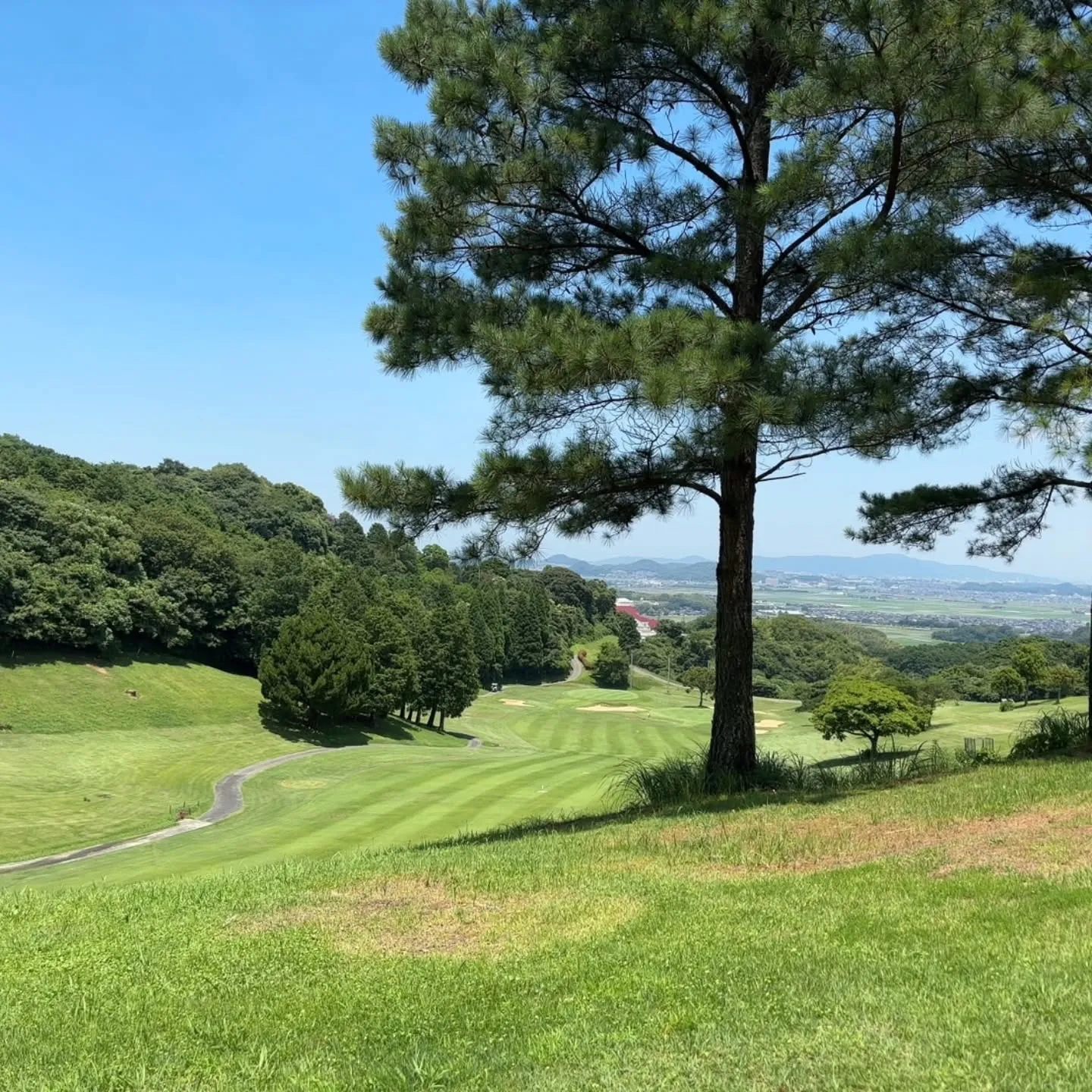 チサンカントリークラブにゴルフに行ってきました！🏌️‍♂️