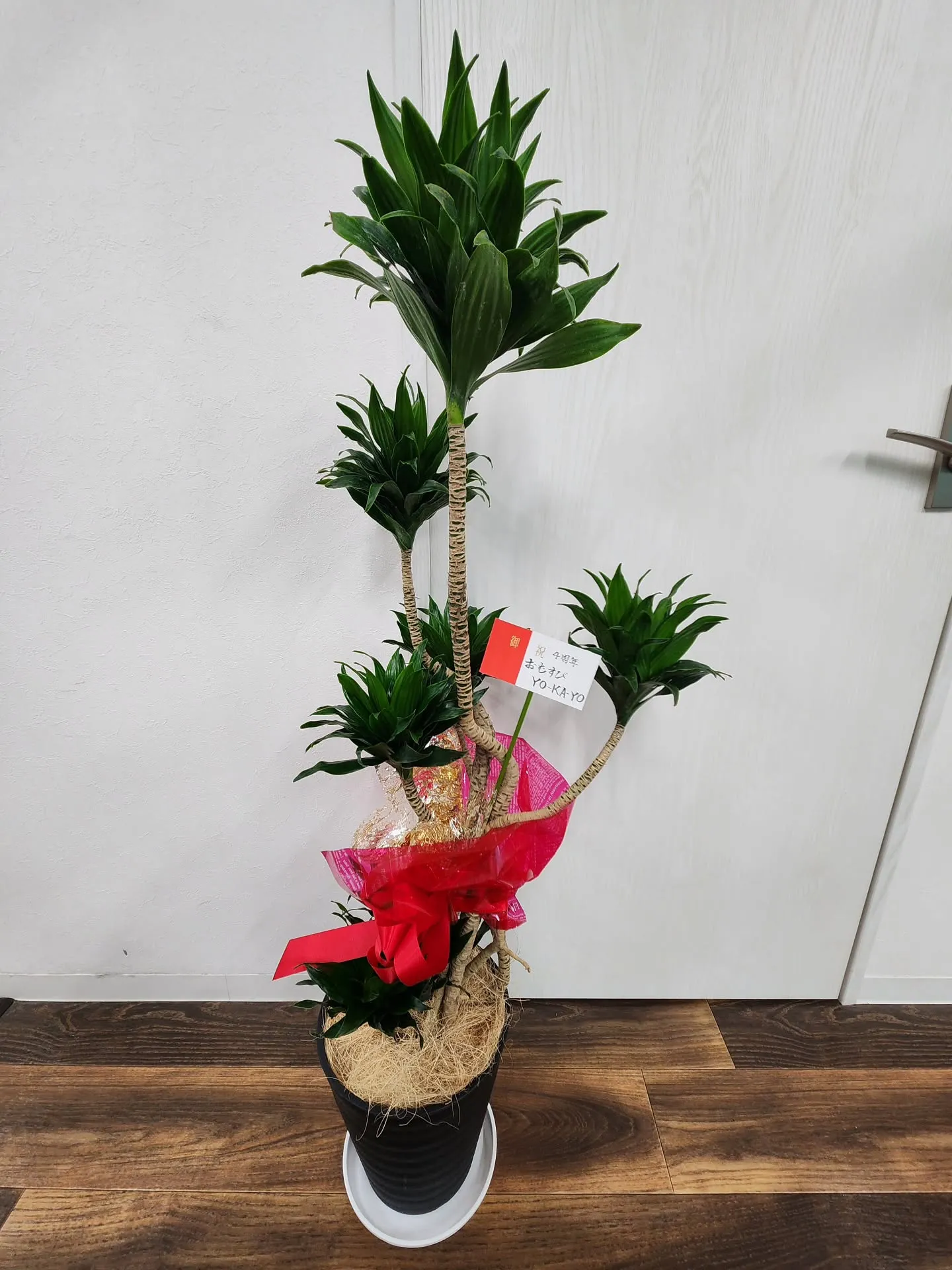 素敵なお祝いを頂きました🎶