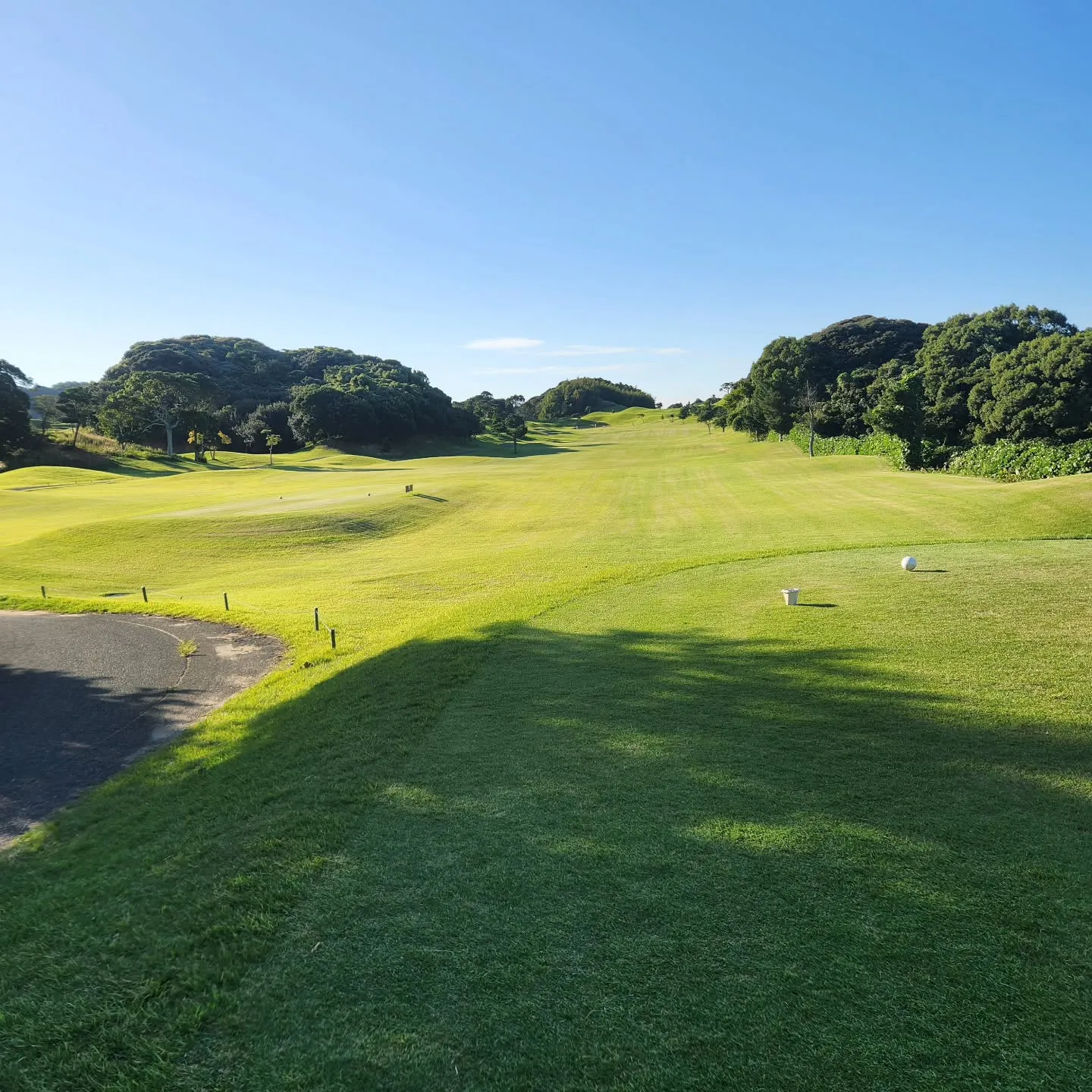 スタッフの日常➁